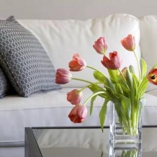 A modern living room with a white sofa, decorative cushions, and a glass vase filled with pink tulips on a glass table.