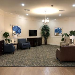 A cozy living room with comfortable seating, decorative plants, and wall art.