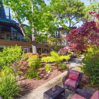 A serene garden with colorful landscaping and outdoor seating under lush trees.