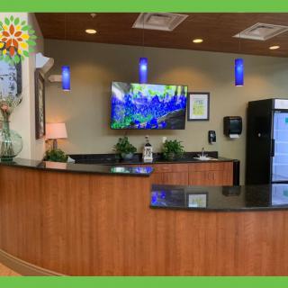 A welcoming reception area with a wooden desk, plants, and a television mounted on the wall.