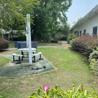 A tranquil outdoor space featuring a picnic table surrounded by lush greenery.