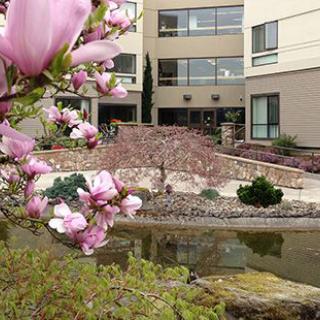 A serene view of a modern building surrounded by blossoming trees and a peaceful pond.