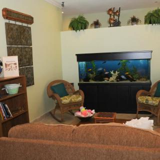 A cozy living room featuring an aquarium, rattan chairs, and a sofa with indoor plants creating a relaxing atmosphere.