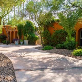 A sunny pathway surrounded by lush greenery in a desert garden setting.