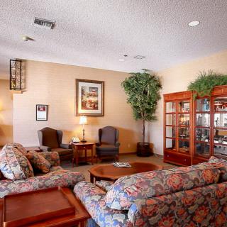 A cozy living room with floral sofas, chairs, and a coffee table, accented by indoor plants and warm lighting.
