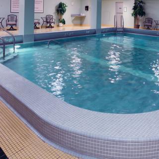 An inviting indoor swimming pool with surrounding chairs and lush plants.