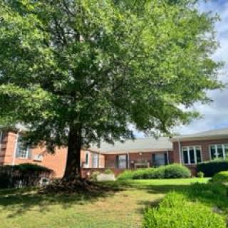 A sunny day with a large tree in front of a brick building.