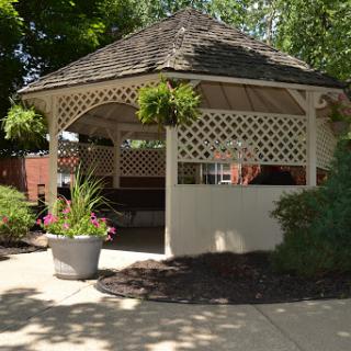 A charming gazebo surrounded by lush greenery and vibrant plants.