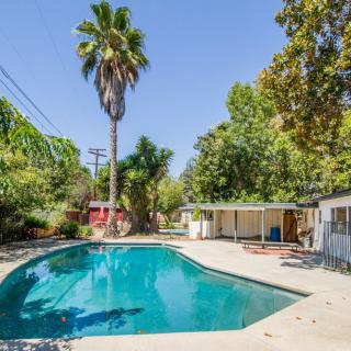 A sunny backyard with a swimming pool surrounded by trees and a tall palm tree.