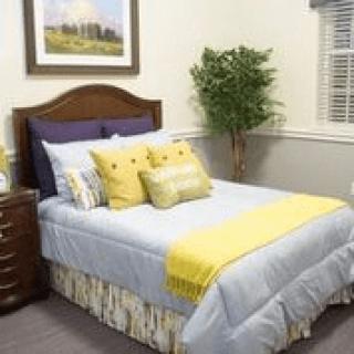 A cozy bedroom with a neatly made bed, featuring blue and yellow bedding, decorative pillows, and a potted plant in the corner.