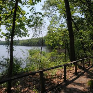 A serene pathway along the edge of a tranquil lake surrounded by lush greenery.