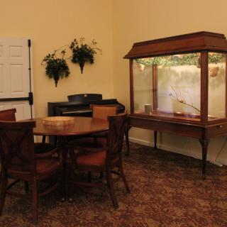 A cozy dining area with a round table and chairs, accompanied by a display case and decorative plants.