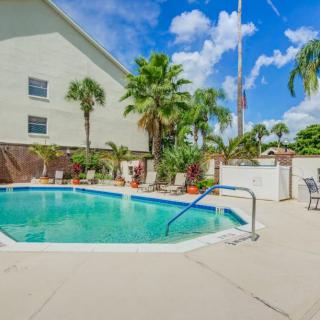 A sunny outdoor swimming pool area surrounded by palm trees and clear blue skies.
