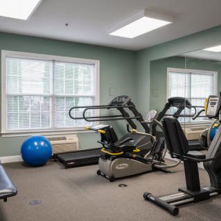 A small home gym with a treadmill, stationary bike, and exercise ball.