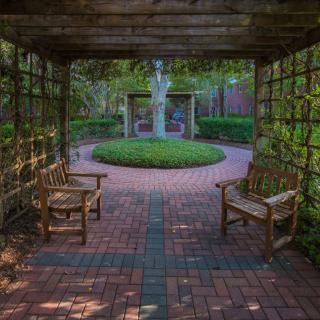 Tranquil garden with benches under a pergola and a circular brick pathway.
