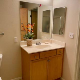 A tidy bathroom with a wooden vanity, mirror, and decorative plant.