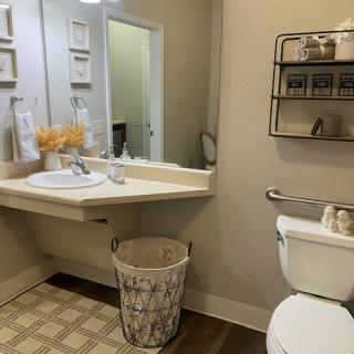 A neatly organized bathroom with a sink, mirror, toilet, and decorative elements.