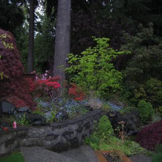 A tranquil garden scene featuring diverse foliage and towering trees.