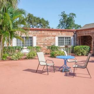 A spacious patio with chairs and a table, surrounded by greenery.