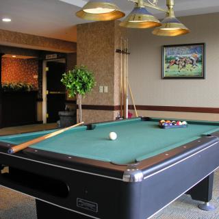 A cozy game room featuring a pool table ready for play.