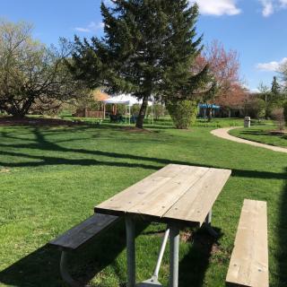 A scenic view of a park with a picnic table, trees, and a pathway on a sunny day.