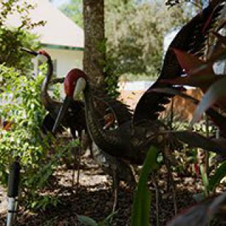 Bird sculptures nestled among greenery in a garden setting.