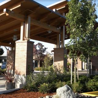 Modern architectural entrance with landscaping and plants.