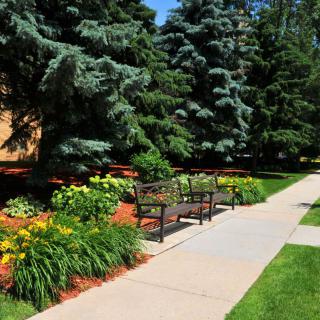 A serene park scene with a sidewalk, benches, and lush landscaping.