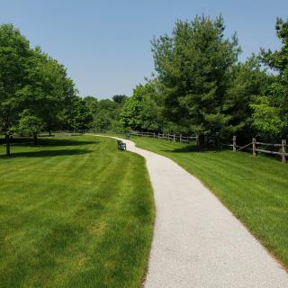 A winding path through a scenic park with lush greenery and trees.