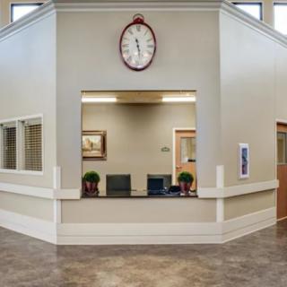 A reception area with a large clock above the counter, featuring two small potted plants and a few office chairs in the background.