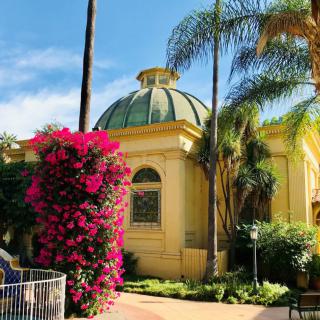 A yellow building with a dome surrounded by lush greenery and bougainvillea on a sunny day.