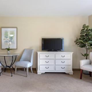 A living room with a TV on a white dresser, surrounded by chairs, a small table, and an indoor plant.