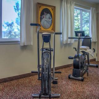 A small indoor gym with exercise bikes and a portrait on the wall.
