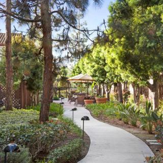 A serene garden pathway surrounded by lush greenery and tall trees.