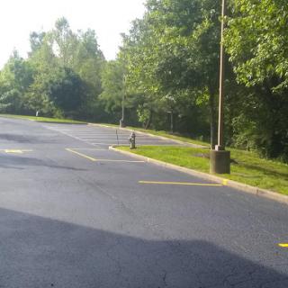 A peaceful parking lot surrounded by greenery, illuminated by sunlight.