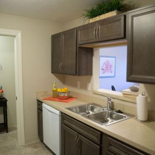 A modern kitchen with dark cabinets, a double sink, and decorative elements.