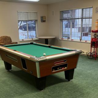 A cozy game room featuring a pool table and carpeted flooring.