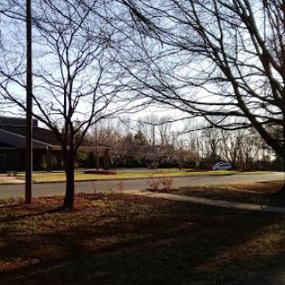 A peaceful suburban scene during winter, featuring bare trees and a quiet street.