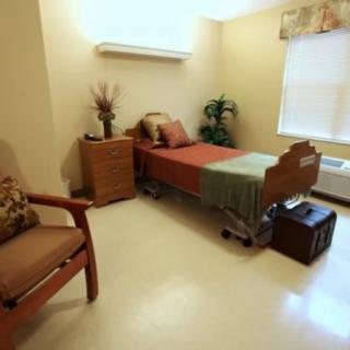 A hospital room with a single bed, chair, cabinet, and decorative plants.