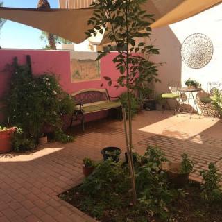 A cozy garden patio with plants, a bench, and shade sails overhead.