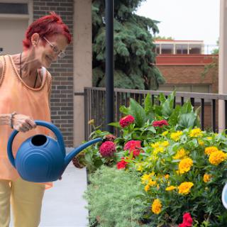 A woman enjoys watering her vibrant flower garden on a sunny day.