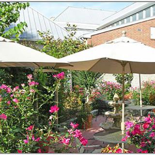 A beautiful garden patio with colorful flowers and shaded umbrellas.