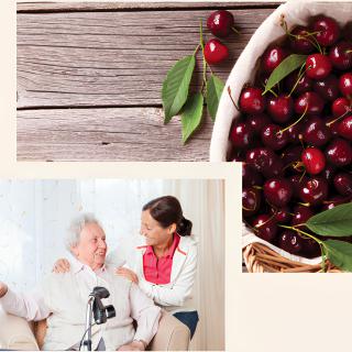 A caregiver shares a moment with an elderly person, symbolizing companionship and healthy living.