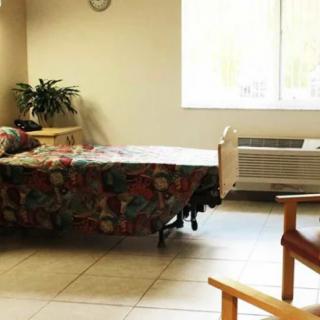 A simple room with a hospital bed, plant, and chair near a window.