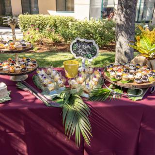 Outdoor buffet table with a variety of desserts beautifully presented for a party.