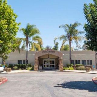 A sunny view of a building entrance surrounded by palm trees and a driveway.