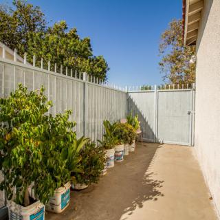 A sunny outdoor pathway lined with potted plants next to a fence.
