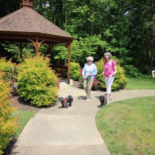Two women walking their dogs along a garden pathway near a gazebo.