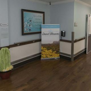 A hospital hallway featuring a decorative plant, artwork on the wall, and a promotional stand with vibrant imagery.