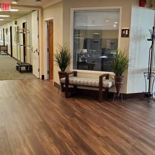 A clean and brightly lit office hallway featuring wooden flooring, a bench with plants on either side, and doors leading to various rooms.